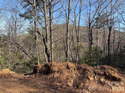 /international/us/kathy-lake-drive-edneyville-nc-110098823932/