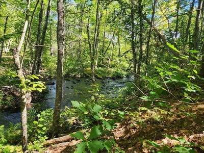 /international/us/28-cemetery-road-montville-me-110094449687/?lang=zh-tw