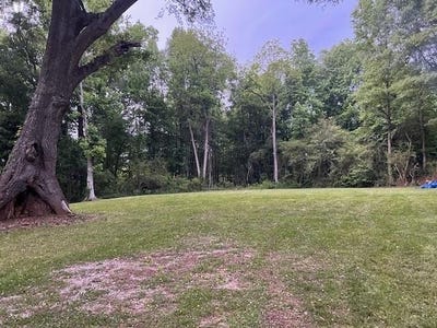 /international/us/877-bedwell-street-heflin-al-110108058570/
