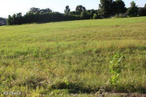 /international/us/26-chapel-hill-subdivision-lot-26-holly-springs-ms-110101938304/