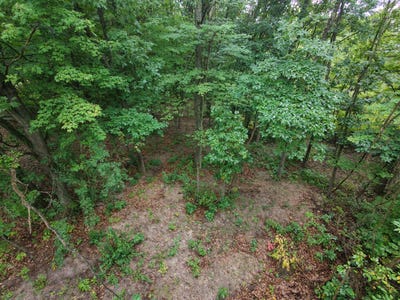 /international/us/12998-bowen-lake-drive-gowen-mi-110110244531/