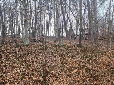 /international/us/28-overlook-cir-palmyra-va-110098094669/