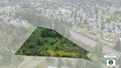 /international/us/landess-cottagegrove-or-110102828812/