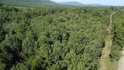 /international/us/dardanelle-ar-110099586290/?lang=zh-cn