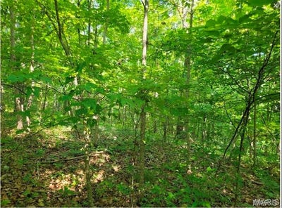 /international/us/00-county-highway-410-ellington-mo-110104583965/