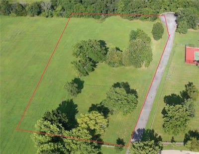 /international/us/12520-silver-birch-trace-elkins-ar-110100983155/