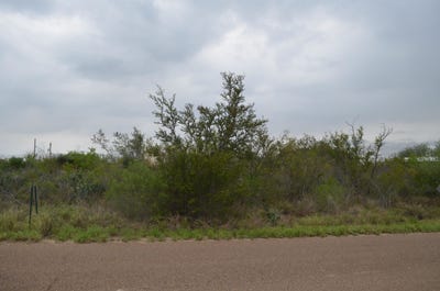 /international/us/5107-grande-lane-zapata-tx-110107438039/