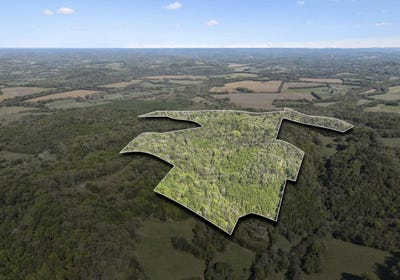 /international/us/tate-road-fayetteville-tn-110104515474/