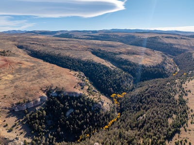 /international/us/tbd-shell-wy-110102761862/