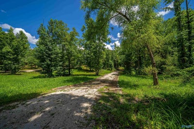 /international/us/2-36-acres-county-road-336-piedmont-al-110101069220/