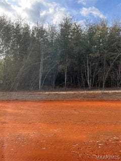 /international/us/deer-loop-lot-24-camden-al-110081757071/