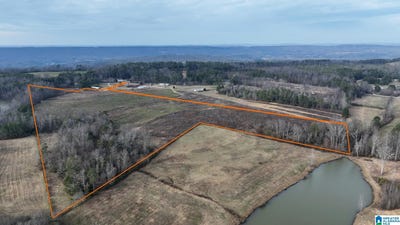 /international/us/county-road-42-lot-26-52-acres-steele-al-110105222887/
