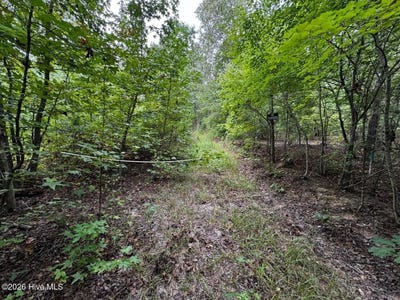 /international/us/gabe-rd-saluda-sc-110120415039/