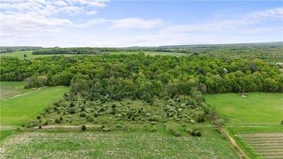 /international/us/rt-414-lodi-ny-110098211498/