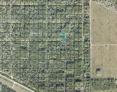 /international/us/lt-1013-olson-street-hastings-fl-110120114608/