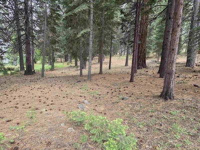 /international/us/260-osprey-loop-lake-almanor-west-ca-110108253534/