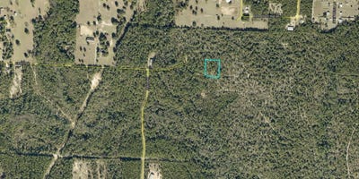 /international/us/gibbs-drive-crestview-fl-110120408031/