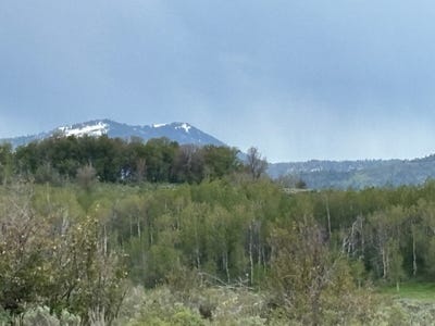 /international/us/6476-stauffer-rd-montpelier-id-110108299328/