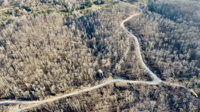 /international/us/mill-creek-rd-sunbright-tn-110120036799/