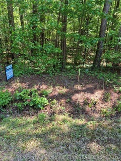 /international/us/near-294-airport-road-bladenboro-nc-110108139603/