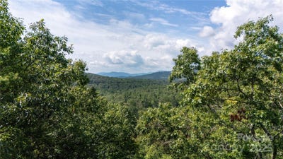 /international/us/humpback-mountain-road-spruce-pine-nc-110100188145/