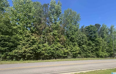 /international/us/springville-boulevard-lot-0-oneonta-al-110107799506/