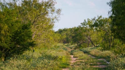 /international/us/leal-rd-tx-110100057193/