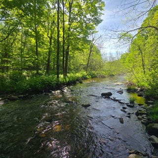 /international/us/00-county-route-95-lorraine-ny-110108338605/