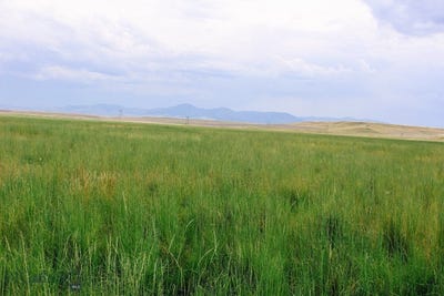 /international/us/muddy-creek-ranch-cascade-mt-110093023131/?lang=zh-tw