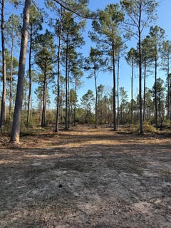 /international/us/tbd-b-county-road-216-beckville-tx-110104534908/