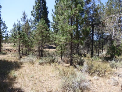 /international/us/widow-valley-rd-lookout-ca-110096879208/