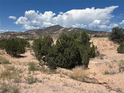 /international/us/block-24-lot-19-cottonwood-ln-abiquiu-nm-110102003708/