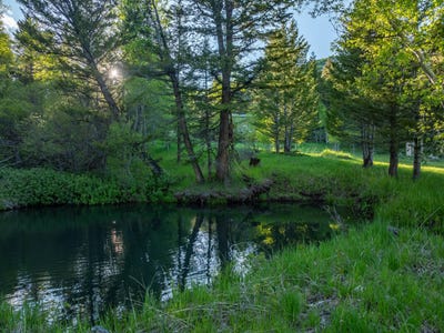 /international/us/515-lander-mountain-road-lander-wy-110100071508/