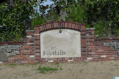 /international/us/307-foothills-drive-sterrett-al-110105961287/