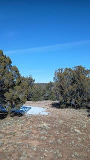 /international/us/deer-run-trail-pie-town-nm-110106280634/