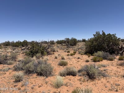 /international/us/chev-canyon-ranch-3-lot-276-heber-az-110109211007/