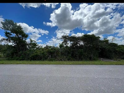 /international/us/111-marshall-avenue-lake-placid-fl-110096801535/