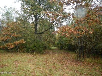 /international/us/6977-holly-grove-meeks-road-cruger-ms-110103116000/