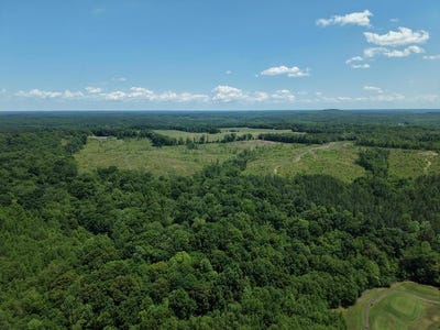 /international/us/00-manor-house-dr-farmville-va-110108477869/