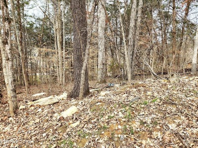 /international/us/lot-6-lynn-drive-drive-maynardville-tn-110097608238/?lang=en