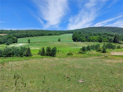/international/us/834-crescent-valley-road-bovina-ny-110100972168/