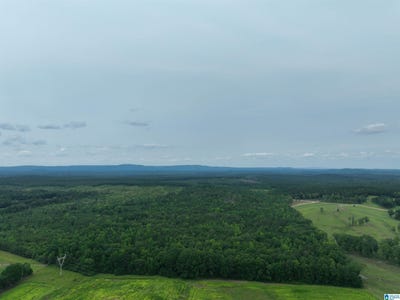 /international/us/jackson-farm-road-wilsonville-al-110099927090/