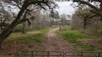 /international/us/42632-north-thibodeaux-road-ponchatoula-la-110097881513/