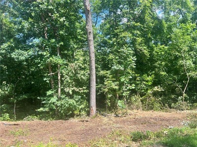 /international/us/leicester-drive-lot-55-bella-vista-ar-110109153825/