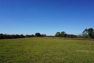 /international/us/cr4301-plainview-road-naples-tx-110106155212/