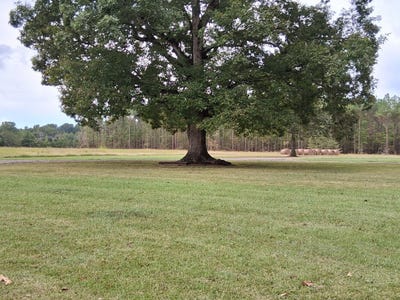 /international/us/1202-martintown-rd-new-albany-ms-110102597747/