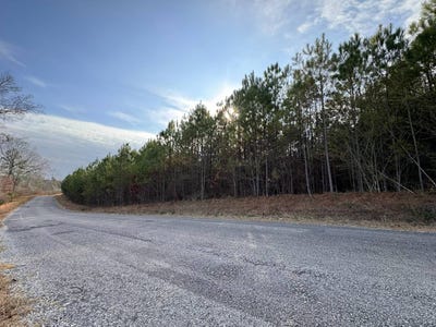 /international/us/02-county-road-139-haleyville-al-110105904507/