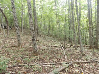 /international/us/kanawha-ridge-lot-9-dugspur-va-110086418635/