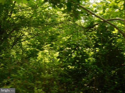 /international/us/pinewood-road-lot-9-earleville-md-110119537632/