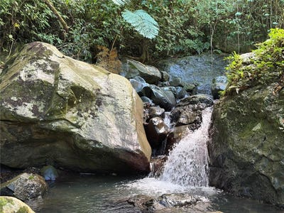 /international/us/cam-la-vega-orocovis-pr-110104787505/